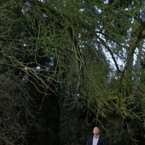 Fotoğraf Silent Friend