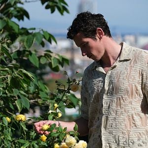 Fotoğraf Rosebush Pruning