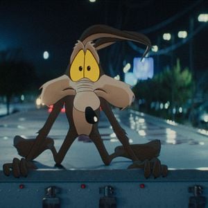 Fotoğraf Coyote, Acme'ye Karşı