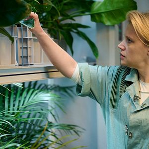 Fotoğraf Kate McKinnon