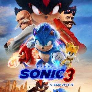 Fotoğraf Kirpi Sonic 3