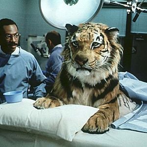 Fotoğraf Dr. Dolittle