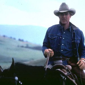 Fotoğraf Atlara Fısıldayan Adam