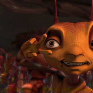 Fotoğraf Karınca Z