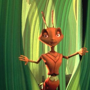 Fotoğraf Karınca Z