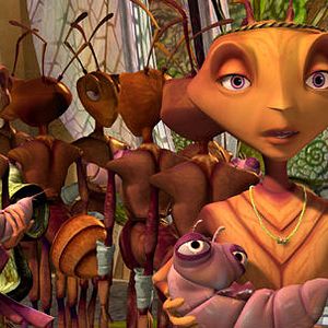 Fotoğraf Karınca Z