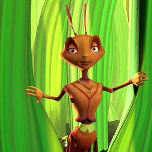 Fotoğraf Karınca Z