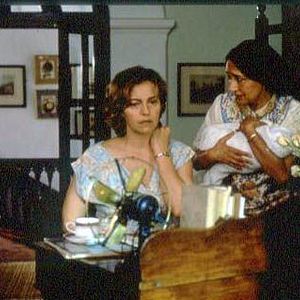 Fotoğraf Pamuk Mary