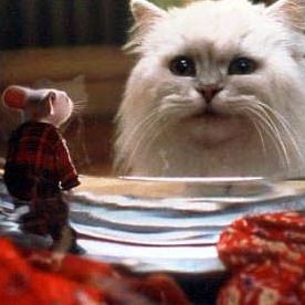 Fotoğraf Küçük Kardeşim