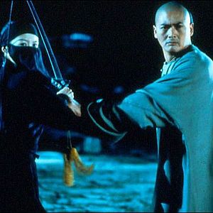 Fotoğraf Kaplan ve Ejderha