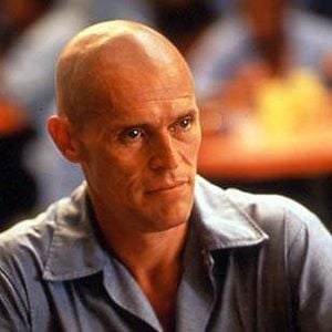 Fotoğraf Animal Factory