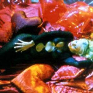 Fotoğraf Cecilia Roth