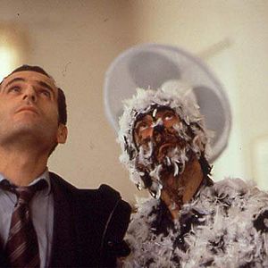 Fotoğraf Antoine Chappey