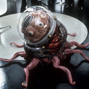 Fotoğraf Siyah Giyen Adamlar 2