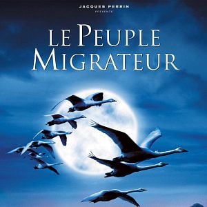 Fotoğraf Kuşlar Kanatlı Uygarlık