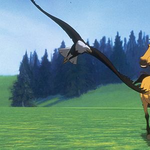 Fotoğraf Özgür Ruh