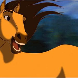 Fotoğraf Özgür Ruh