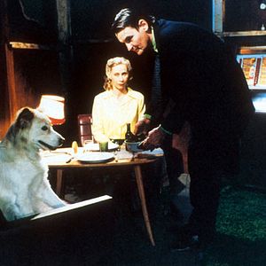 Fotoğraf Geçmişi Olmayan Adam