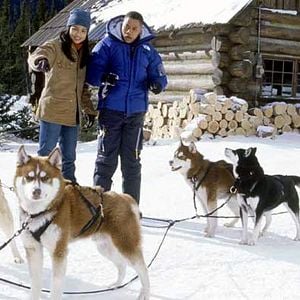 Fotoğraf Kar Köpekleri