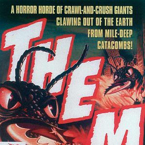 Fotoğraf Yeryüzüne Hücum