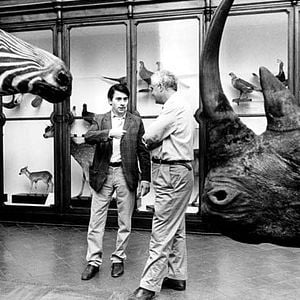 Fotoğraf The Best Of Youth