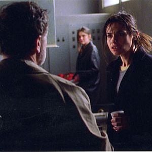 Fotoğraf Kurdun Günü