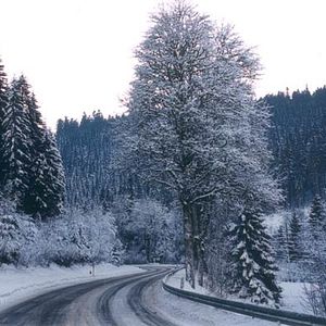 Fotoğraf Vincent Dieutre