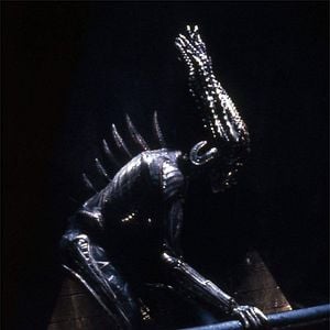 Fotoğraf Tehlikeli Tür