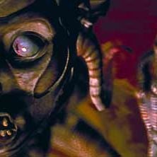 Fotoğraf Tehlikeli Tür