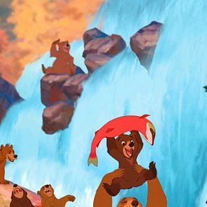 Fotoğraf Ayı Kardeş