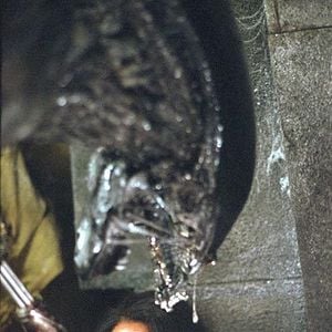 Fotoğraf Alien Predator’e Karşı