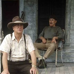 Fotoğraf Secondhand Lions