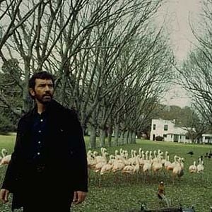 Fotoğraf Christopher Hampton