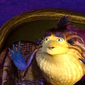 Fotoğraf Köpekbalığı Hikayesi