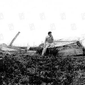 Fotoğraf Cennetin Doğusu