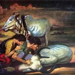 Fotoğraf Mehboob Khan