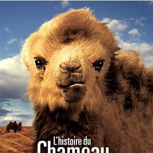 Fotoğraf Ağlayan Devenin Öyküsü