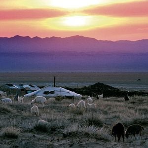 Fotoğraf Luigi Falorni