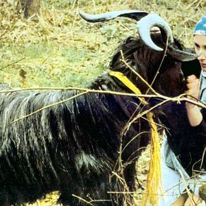 Fotoğraf Bernadette Lafont