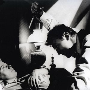 Fotoğraf Caniler Avcısı