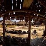 Fotoğraf Terrence Malick