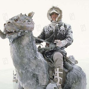 Fotoğraf Harrison Ford