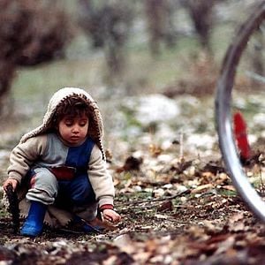 Fotoğraf Kaplumbağalar da Uçar