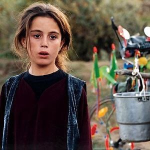 Fotoğraf Kaplumbağalar da Uçar