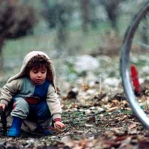 Fotoğraf Bahman Ghobadi