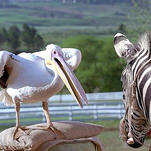 Fotoğraf Frederik Du Chau