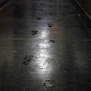 Fotoğraf Karanlık Su