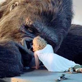 Fotoğraf King Kong