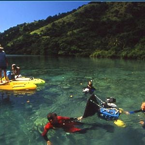 Fotoğraf Greg MacGillivray