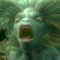 Fotoğraf Mike Newell